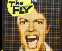 “On The Fly” Part Two: Disintegration